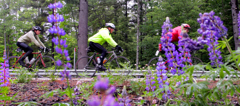 Bicyclists ride in the Trek Across Maine from Sunday River to Belfast in 2005. The 180-mile fundraiser for the American Lung Association takes place this year from June 17 to 19.