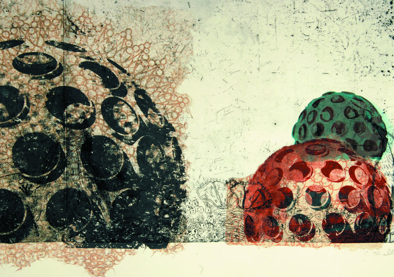 "Geodesic Garden – Bucky Fuller II," from the "Garden series," an etching and screen print by Colleen Kinsella, is on view in the 2011 Biennial at the Portland Museum of Art.