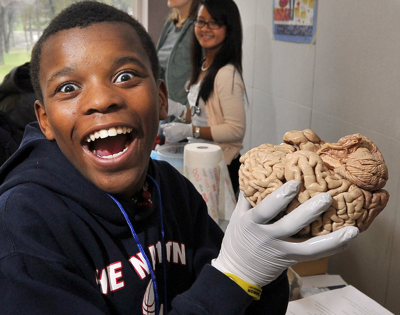 Twelve-year-old Antonio Ware reacts to the feel of a real brain as he and 20 fellow students from Biddeford Intermediate School interacted Wednesday with mentors from the University of New England’s College of Osteopathic Medicine in Biddeford.