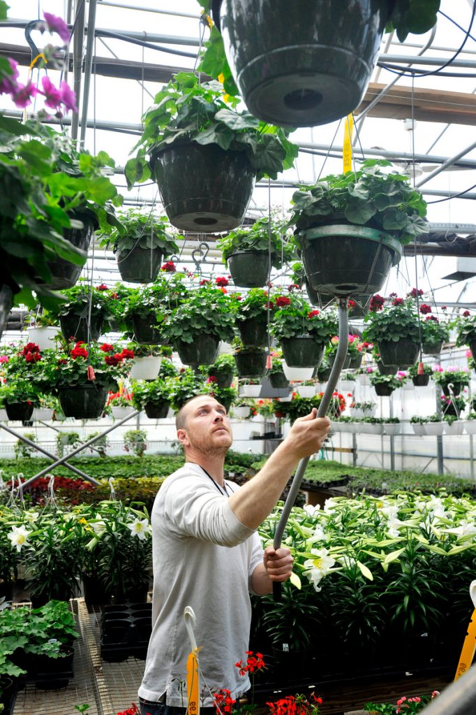 Ryan Carleton works in a greenhouse at Broadway Gardens.