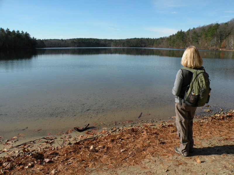 Walden Pond in Concord, Mass., is considered by many to be the birthplace of the conservation movement.