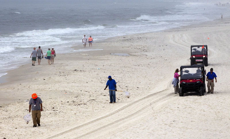 Oil spill cleanup workers search for tar balls in Gulf Shores, Ala., Wednesday. A year after the Deepwater Horizon oil spill, some signs of normalcy are returning, though tar balls continue to wash ashore.