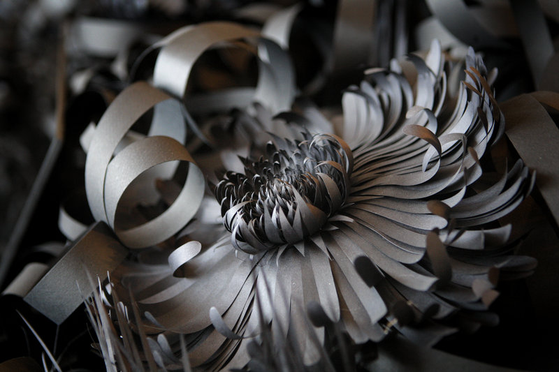 A paper flower, based on a waterlily, from Fensterstock’s garden in the museum’s sculpture gallery.
