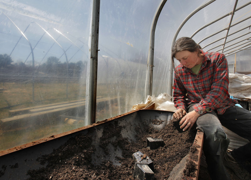 Beth Schiller fills a seedling cup with dirt in a greenhouse at Dandelion Spring Farm in Newcastle on Friday. It is getting more and more difficult for people to raise their own food, said Schiller, who grows vegetables on about five acres at the farm.