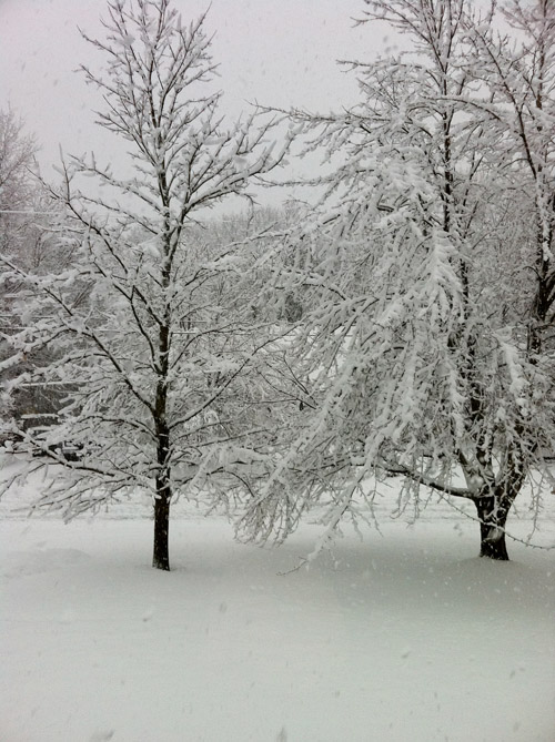 Lisa Simmons submitted this photo of the view from her front door in Saco.