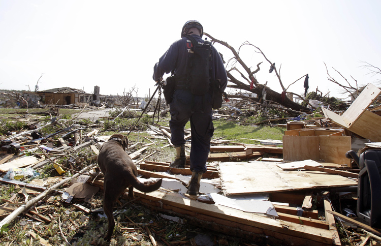 Brent Koeninger, with Oklahoma Task Force One search-and-rescue, and his search dog Huck comb through debris looking for victims today in Joplin, Mo.