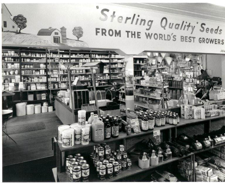 An interior shot of the seed operation at one of its earlier Portland locations.