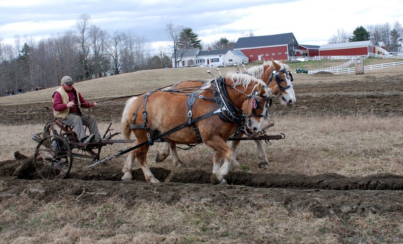 Luther Gray of Monmouth is one of the directors of the Farmers Draft Horse, Mule and Pony Club. “Many people, especially young folks, have no idea how our landscape was created. It was all cleared and shaped by horses and oxen,” Gray says. Right, a banner for Plow Day.