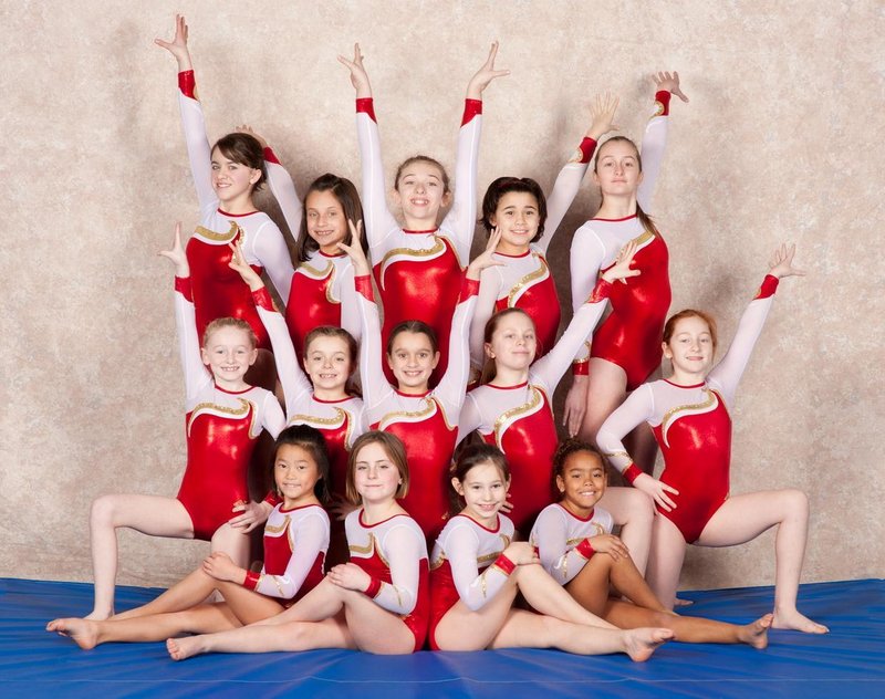 Members of the level 5 team from Dudziak’s School of Gymnastics, which won a state championship: front row, left to right, Mia Pothier, Jaigan Boudreau, Danah MacLeod, Yvette Chevrin; middle row, Alexis Matteau, Sidney Sparda, Megan Gregoire, Madeline Rheaume, Elise Courtney; back row, Monica Rheaume, Katrin Dumont, Julia Toshach, Shannon Usher, Hannah Cerone.