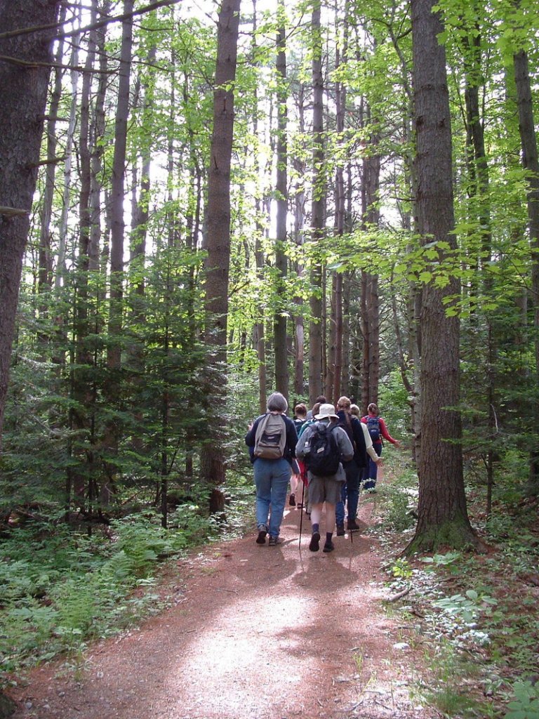 Walkers make their way along Portland’s Stroudwater Trail. On June 4, Portland Trails will unveil its latest accomplishment: the 10-mile Forest City Trail.