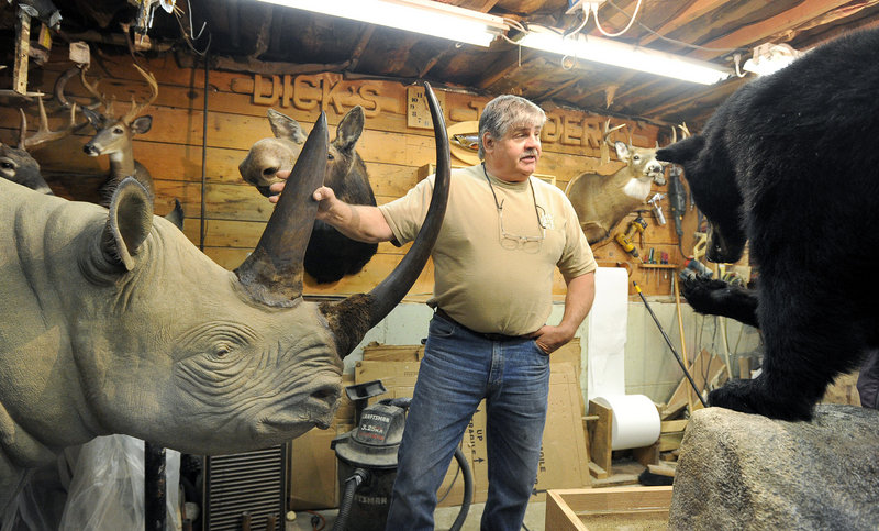 Taxidermist Dick Galgovitch shows off his rare black rhinoceros in his basement workshop at his home in Lisbon Falls.