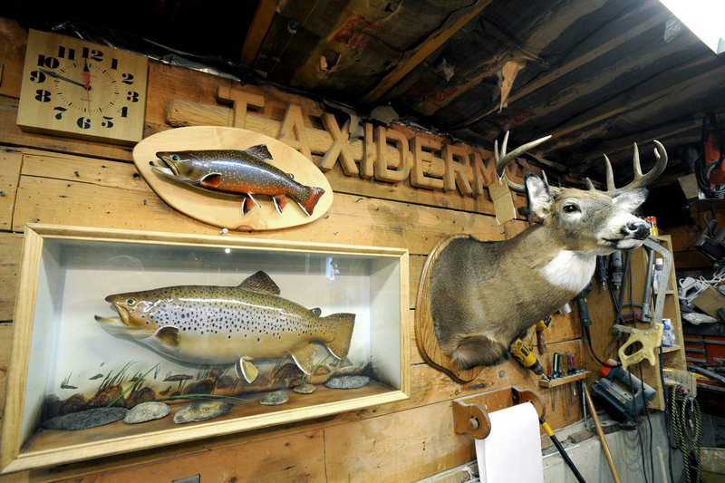 Dick Galgovitch’s collection includes fish and deer. “There will be a lot of turkeys coming in soon,” he said earlier this month.