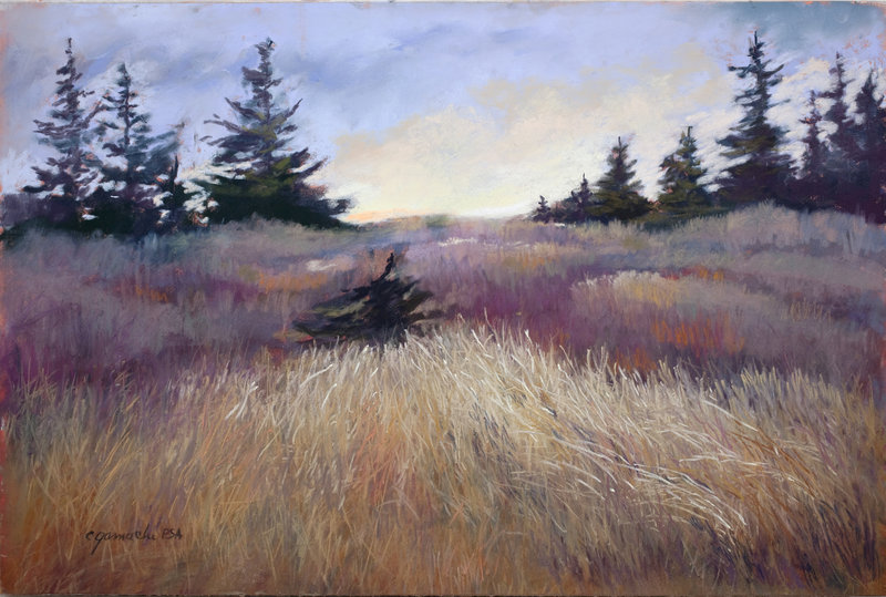 Color and Textures, a pastel by Claudette Gamache of Phippsburg. Gamache will be honored by the International Association of Pastel Societies in June.