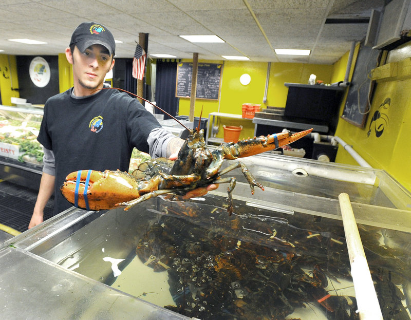 Ethan Zwaan sorts lobsters at Free Range Fish and Lobster, where retail prices remain at last fall’s levels. “We are getting ready to tap a really big season,” owner Joe Ray says.