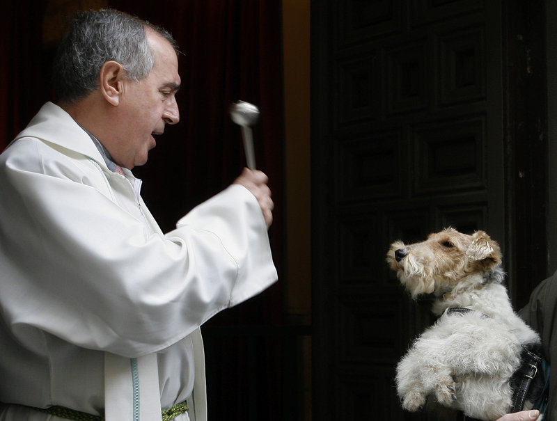 A dog is blessed during the feast of San Anton, the patron saint of animals, in Madrid, Spain, in 2007. While some people say that the Rapture is coming May 21, a business has more than 250 clients biting on its offer to collect and adopt their pets that are left behind.