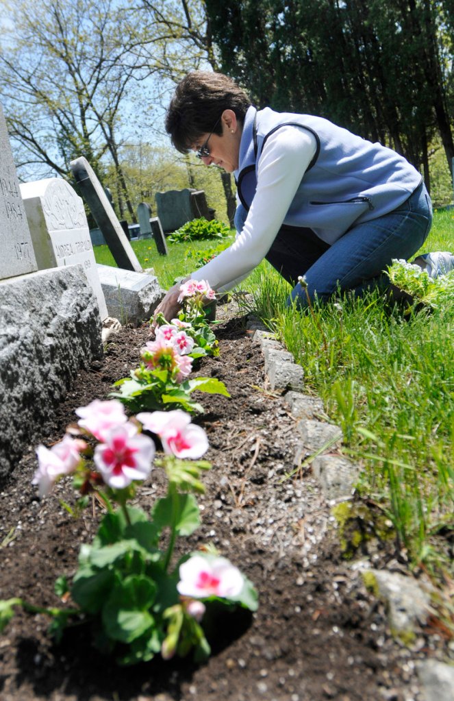 Connie Thuottle of Westford, Mass., plants geraniums in front of her grandparents’ graves at Calvary Cemetery in South Portland on May 21. Thuottle is originally from South Portland.