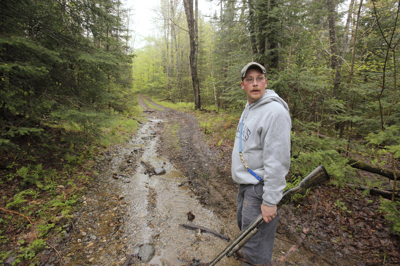 Mike Corson listens to baying bloodhounds in the woods of Thorndike on May 21 as he hunts coyotes with the Knox Ridge Coyote Hunters, a loose-knit club.