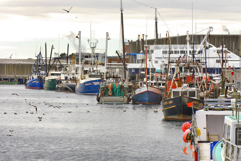 Fishing boats tied up at a wharf in Gloucester, Mass. Are catch shares the way to get some to return to Maine ports?