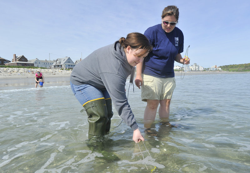 Scarborough High student Becca Carifio, left, collects a water sample with instructor Sarah Mosley Wednesday afternoon at Higgins Beach in Scarborough, as part of the Maine Healthy Beaches program to monitor water quality weekly on public beaches.