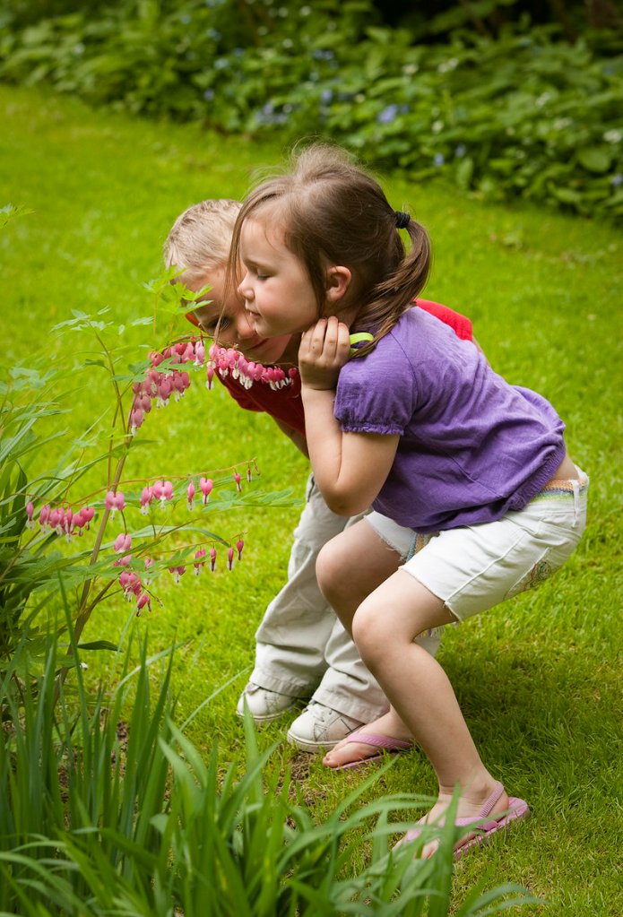 Nevaeh Wright and brother Landyn, 2, take a whiff of a bleeding heart plant.
