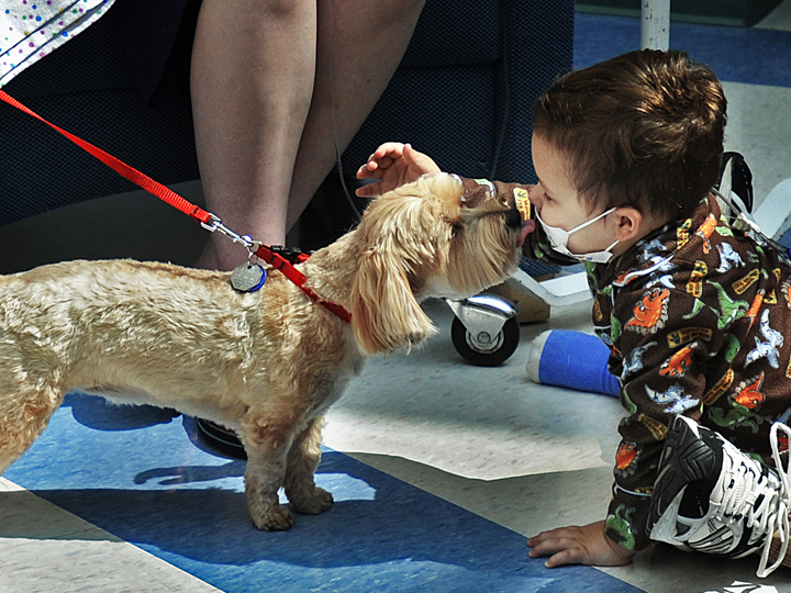 Jeffrey Davis, 2, receives a kiss from Bibi, one of two dogs Barbara Bush brought with her to Medical Center today.