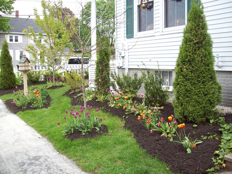 Plantings along one side of the home.