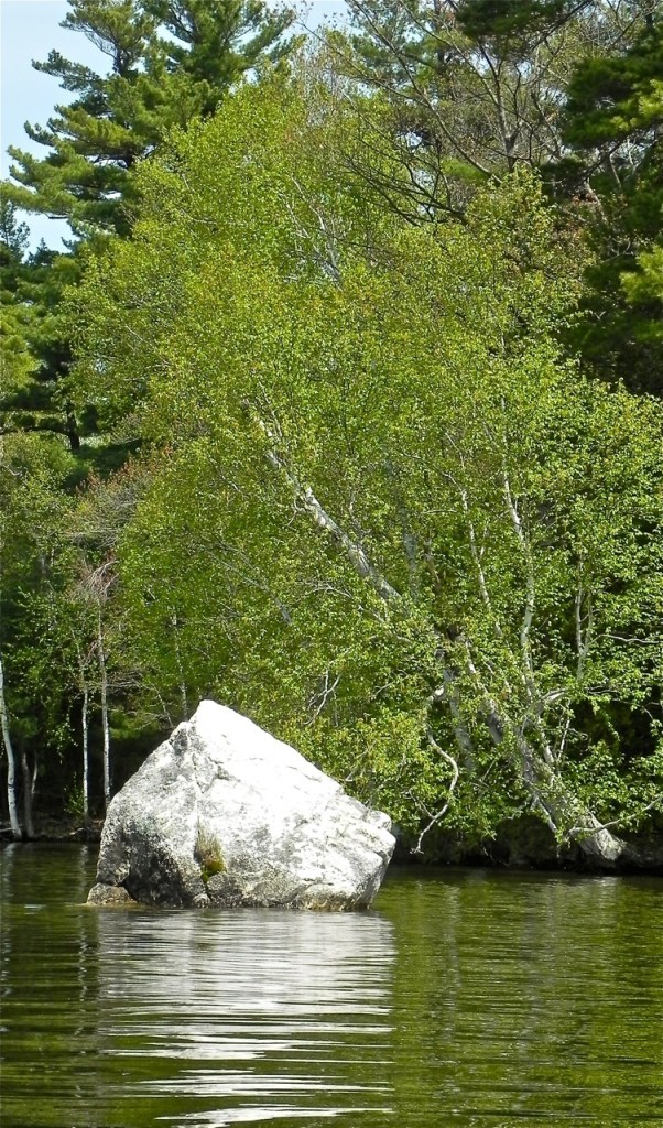 A boulder is reflected in Cobbosseecontee Lake near Hersey Island. The island is home to a huge osprey nest.
