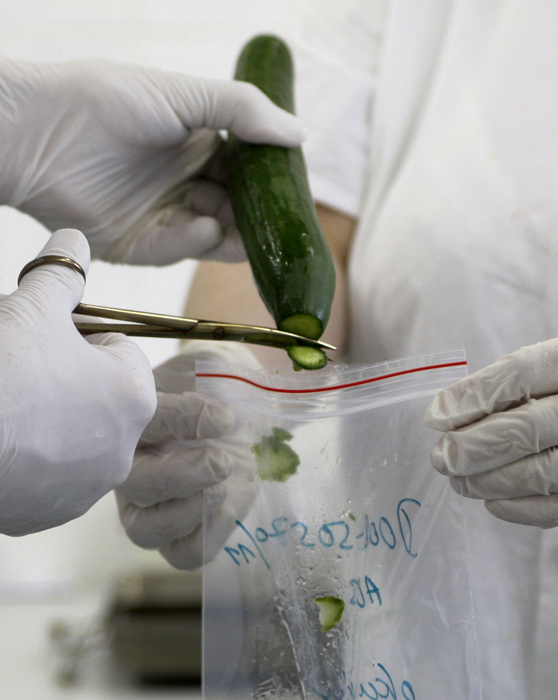 Researchers take samples from a cucumber for a molecular biological test Wednesday in Brno, Czech Republic. The continuing outbreak of E. coli has killed 17 people and sickened more than 1,530 in Europe.