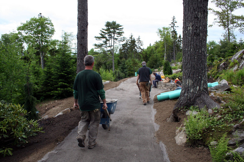 Improvements to the Haney Hillside Garden have included not just plantings but also a new, more intimate trail with a surface that’s easier for walking.