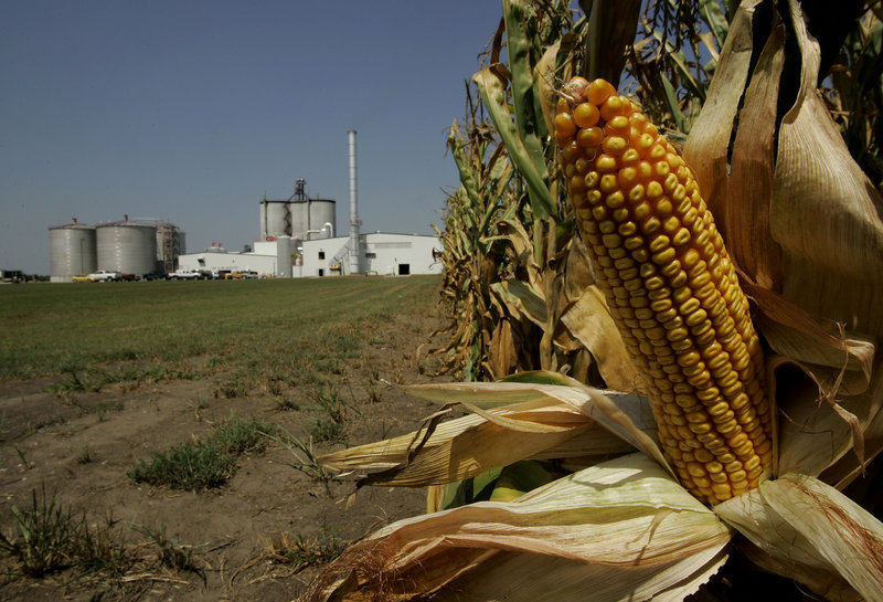 Corn grows near the Mid-Missourri Energy ethanol plant near Malta Bend, Mo., in this 2006 photo. On Thursday the U.S. Senate, in a bipartisan 73-27 vote, repealed a tax credit for ethanol producers. “The best way for ethanol to survive is to stand on its own two feet,” said Sen. Tom Coburn, R-Okla.