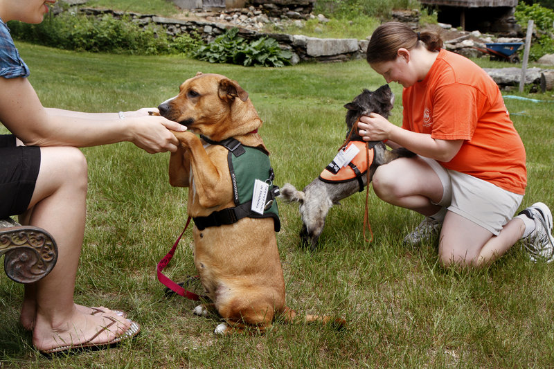Mutts With A Mission cofounder Brooke Corson, right, and dog raiser Moriah Delisle train potential service dogs for veterans Friday in North Berwick.