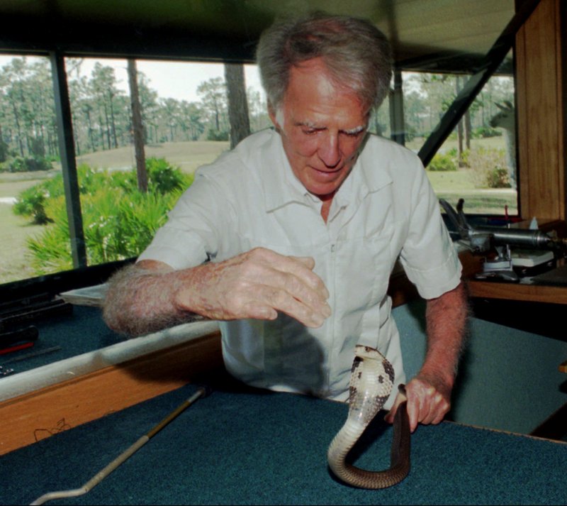 Bill Haast works with a Chinese cobra in 1996 near Punta Gorda, Fla. He survived 172 venomous snakebites, his wife said, leaving him immunized and able to donate life-saving blood to 21 victims over the years. He died of natural causes Wednesday.