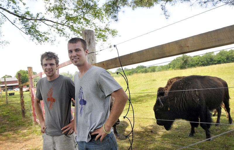 Conor Guptill, left, and Christopher Gallot, who grew up together near this field, have six bison, with four calves expected soon. “We’re at the beginning of something that is really about to take off,” Guptill said.