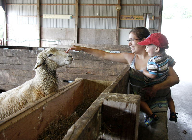 Jess Muise and her son, Oliver, 2, say hello to a sheep during Open Farm Day at Wolfe's Neck Farm in Freeport today.