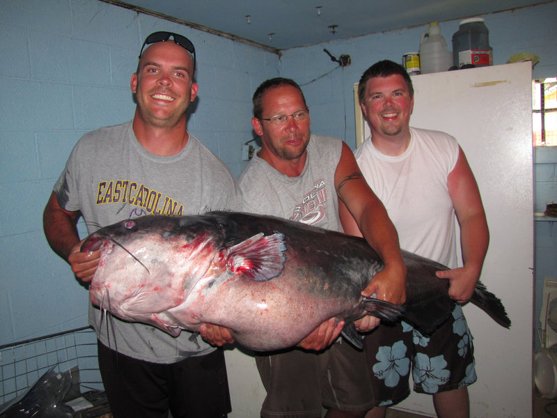 Nick Anderson, left, his father, Richard, and his stepbrother Jeramie Mullis pose with a 143-pound blue catfish that the younger Anderson caught at Buggs Island Lake in Virginia. A tourism industry has grown around the fish.