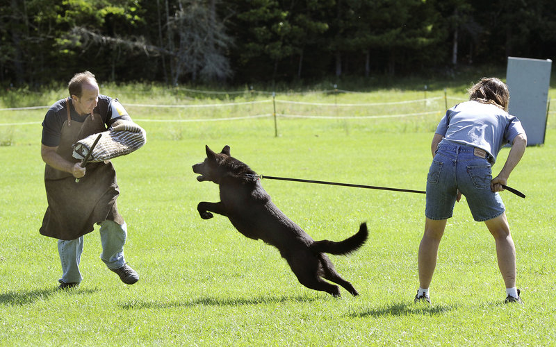 Doreen Metcalf and her brother, Don Saucier, conduct a training exercise in the sport of schutzhund with a German shepherd at their farm in Saco.