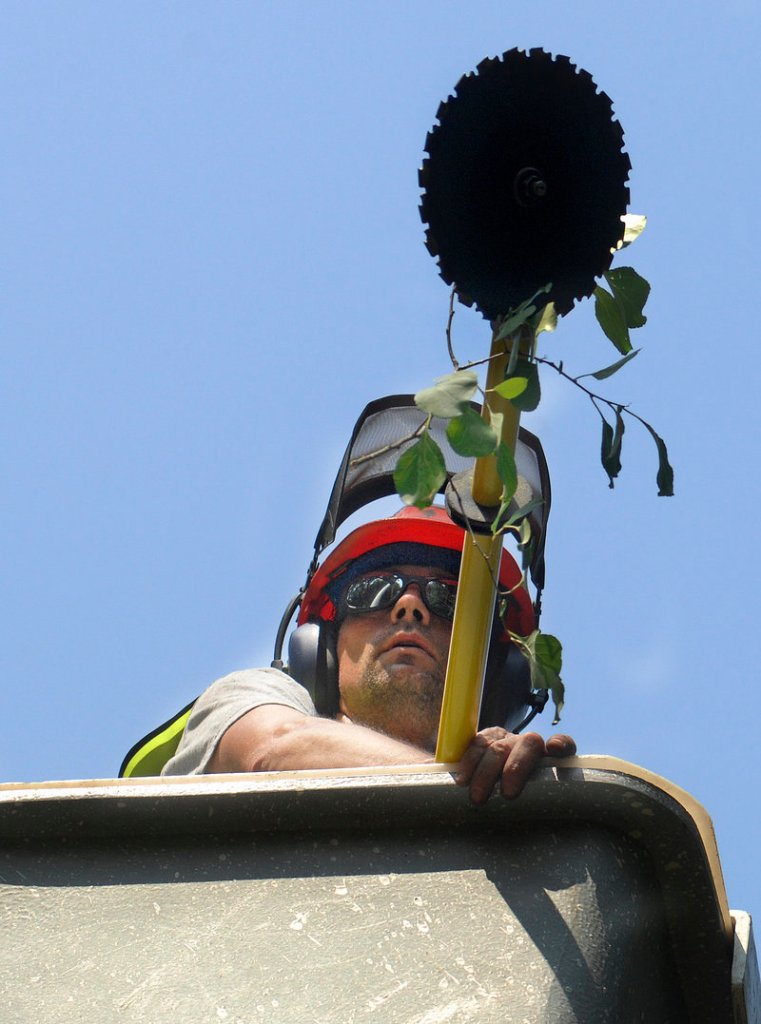 Jim Pike, who trains foremen for Lucas Tree, uses a whiz saw and a boom to cut down tree branches in Windham.