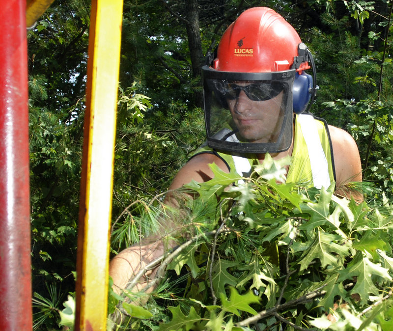 Andrew Sloat of Westbrook, a Lucas Tree Experts foreman, feeds downed trees into a chipper while working on a job site in Windham. The tree care industry has been buoyed in recent years by new federal rules imposing fines on electric utilities that don’t follow line maintenance plans.