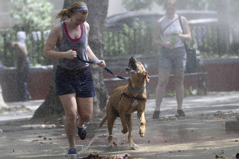 Teresa Smit and Clifford, a 4-year-old mastiff-Labrador mix, cool off by running through a sprinkler on Saturday in New York. The National Weather Service said the temperature was 92 in Central Park at 10 a.m. Saturday.
