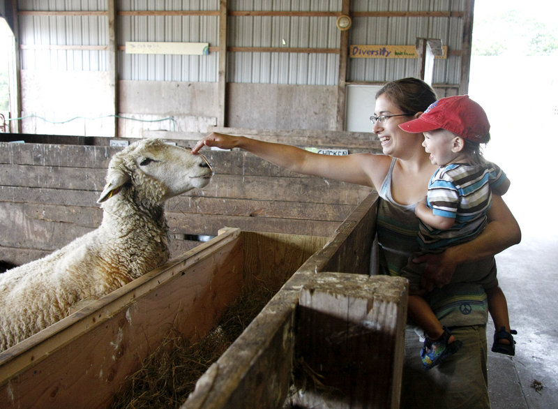 Jess Muise and her son Oliver, 2, say hello to a sheep during Open Farm Day at Wolfe's Neck Farm in Freeport on Sunday.