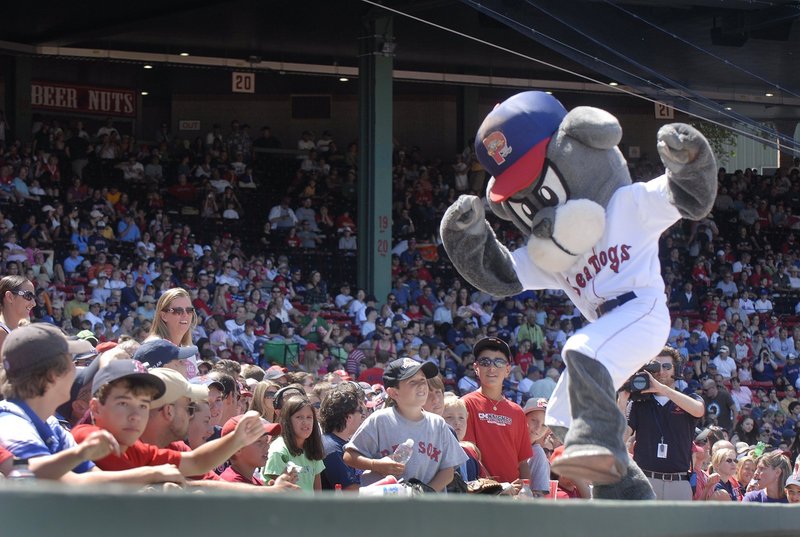 Press Herald file/2008Slugger, mascot for the Portland Sea Dogs, will get to play with other types of dogs at Bark in the Park Thursday at Hadlock Field. Dogs from the Portland Police K-9 unit and just regular pets will be at the park for the event.