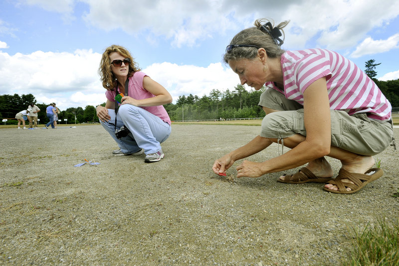 Jan Santerre, director of the emerald ash borer detection project, and volunteer Kathy Bouchard of Scarborough, right, set traps over wasp nests Wednesday on a baseball diamond at Freeport Middle School. The traps are used to collect the prey that the wasps are bringing to the nest. They’ll know the emerald ash borer has arrived in Maine if one shows up in the traps.