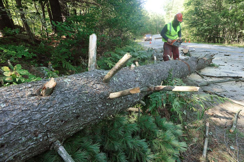 Storm damage in the Lakes Region from Tropical Storm Irene includes this large pine that fell on power lines and blocked the Egypt Road in Gray. A worker from Lucas Tree Service cuts up the trunk today for removal.
