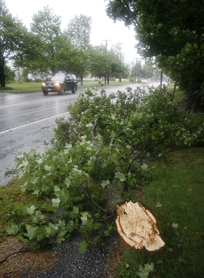 A large tree limb rests at the side of Route 26 in Gray today during Tropical Storm Irene.
