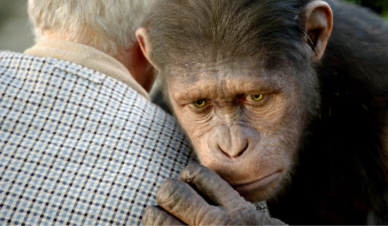 Caesar the chimp, a CG animal, is portrayed by Andy Serkis in "Rise of the Planet of the Apes."