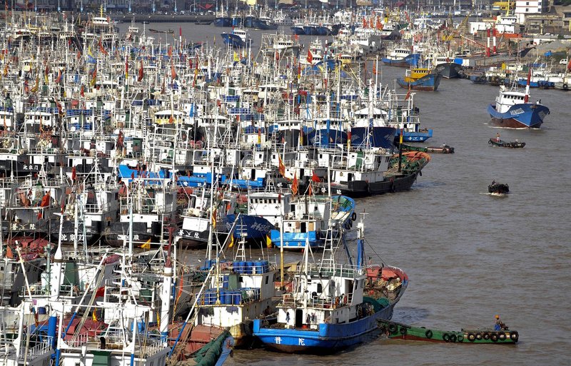 Fishing boats are moored in the Shenjiamen Harbor in Zhoushan in east China's Zhejiang province pior to the alert to prepare for Typhoon Muifa.