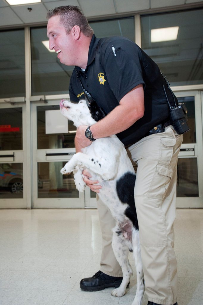 Niel Thromdsen, a K-9 handler, pets bomb-sniffing dog Chuck at the Mall of America in Bloomington, Minn. Terror threats against U.S. shopping centers have led to huge behind-the-scenes changes in security.