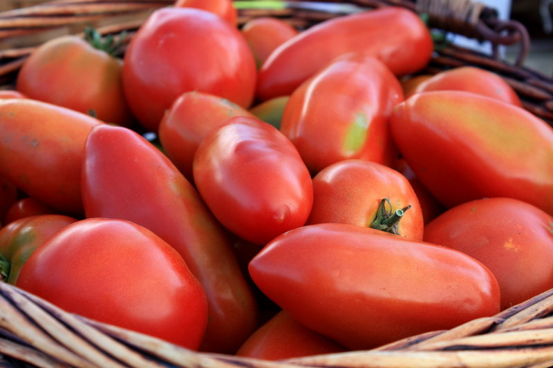 Tomatoes fresh from the garden can be frozen, skins and all, in gallon-sized plastic bags for use during the depths of winter.
