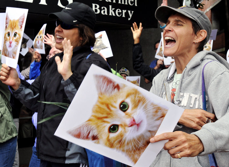 Lisa Arellano, left, and Carleen Mandalfo, both of Portland, sing to promote cat adoption during Wednesday's flash mob. The Animal Refuge League has 360 cats and kittens awaiting adoption.