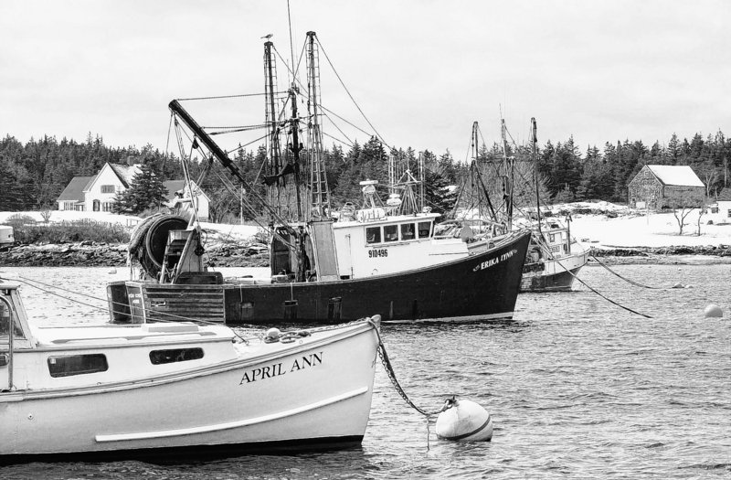 Letting Maine draggers land lobsters won’t alter two decades of change in the industry.